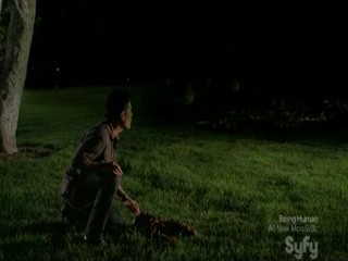 Mega Python vs Gatoroid (Scene  3)