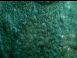 Jeux d'enfants (Love Me If You Dare)