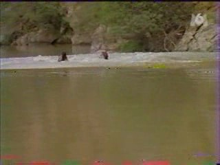 The Adventures of Sinbad