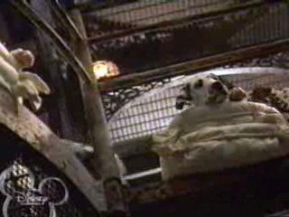102 Dalmatians