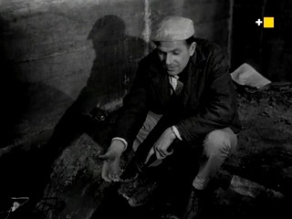 Island of Delinquents