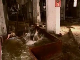 Seven Wives of One Bachelor