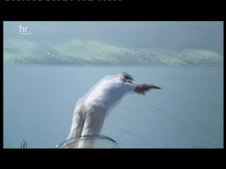 Ausser rand und band am wolfgangssee