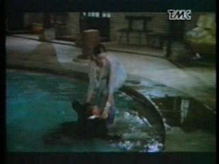 Aragoste a colazione