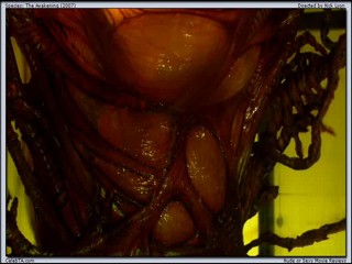 Species The Awakening