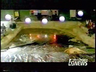 Hope and Faith,   E.R. ,   First Daughter