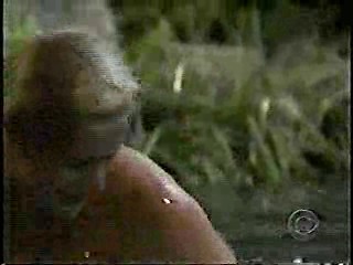 Guiding Light,   Desperate Housewives