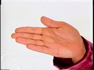 Thats So Raven,  WWE Wrestling