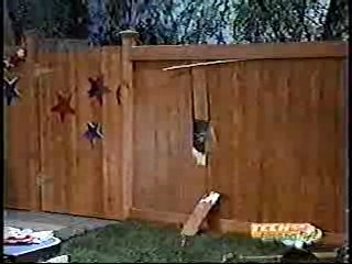 Days of Our Lives,  Nick TV