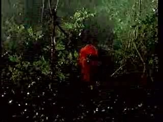 Friday the 13th - A New Beginning,  Little Old New York