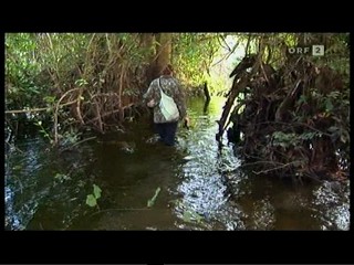 German TV Documentary