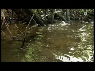 German TV Documentary