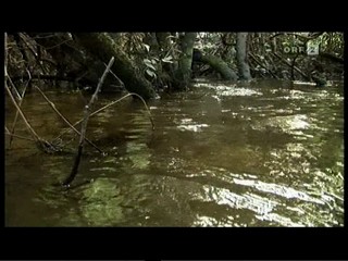 German TV Documentary