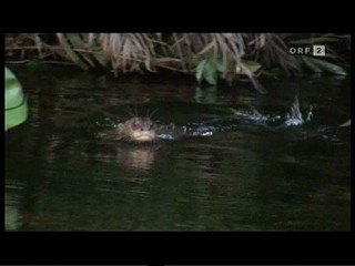 German TV Documentary