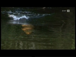 German TV Documentary