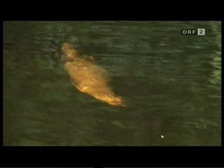 German TV Documentary