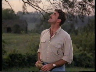 Ninas Alilbi (Her Alibi)