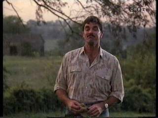 Ninas Alilbi (Her Alibi)