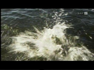 Die Treue-Testerin - Jeanette Biedermann