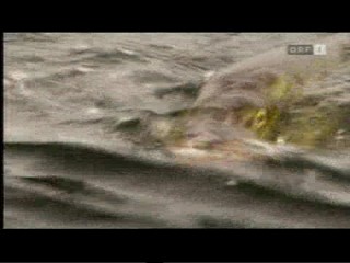 Die Treue-Testerin - Jeanette Biedermann