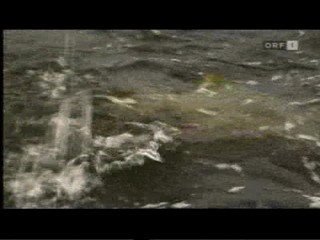 Die Treue-Testerin - Jeanette Biedermann