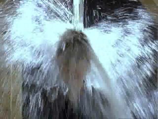 Les hommes prÃ©fÃ¨rent les grosses