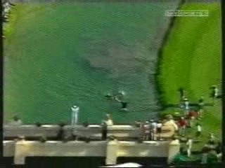 Yes Dear; Golfer Annika Sorenstam