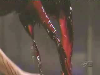 Don't Forget Your Toothbrush,  Danke Anke,  Fear Factor; PAX Promos