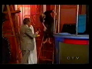 Kelly Ripa Dunk Tank