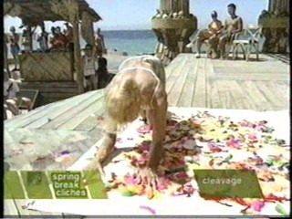 MTV Spring Break Cliches :- Honey and Feathers