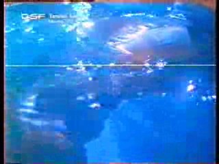 German late night tv