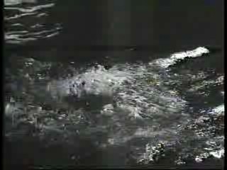 German Comedy Show,   Vintage films,  Cop Show