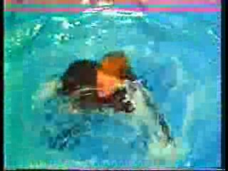 German Comedy Show,   Vintage films,  Cop Show