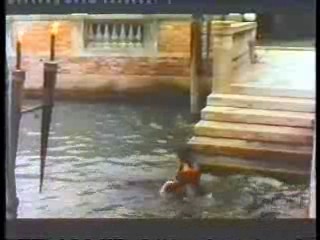 German TV (3),  Dallas