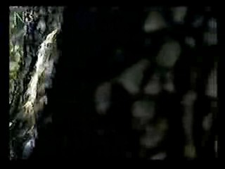 Taiwan Drama,  German TV Drama