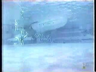 Luna De Miel (Bob's Your Uncle)