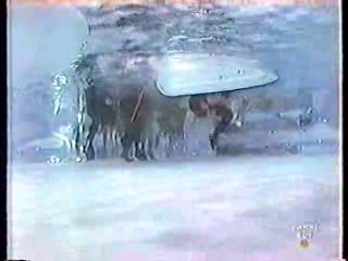 Luna De Miel (Bob's Your Uncle)