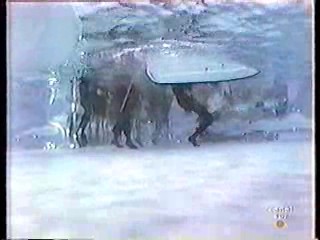 Luna De Miel (Bob's Your Uncle)