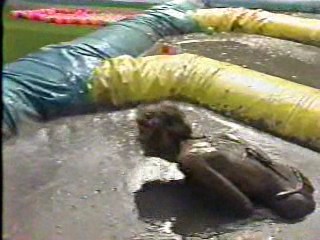 Playboy's Playmate Playoffs of 1986