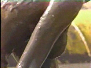 Playboy's Playmate Playoffs of 1986