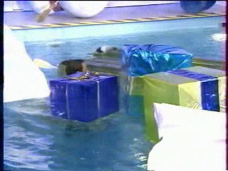 Baywatch,  Le Big Dil Show