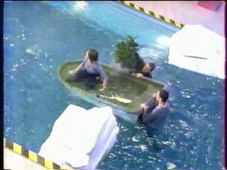 Baywatch,  Le Big Dil Show