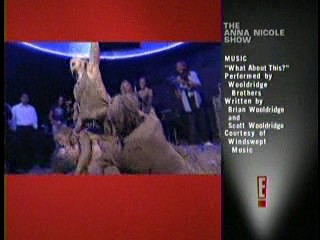 The Anna Nicole Show