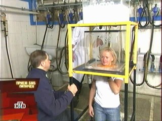 Fear Factor - Russia