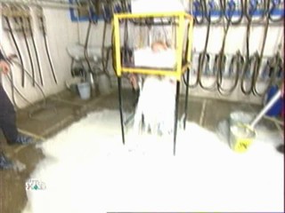 Fear Factor - Russia