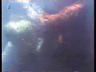 Shadow of a Stranger