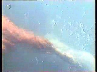 Shadow of a Stranger