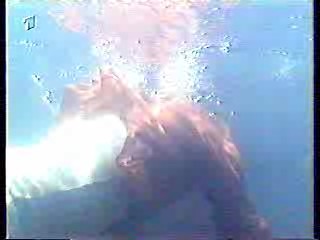 Shadow of a Stranger