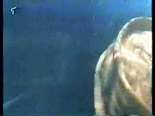 Shadow of a Stranger