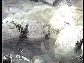 Tarzan (1966 tv series)